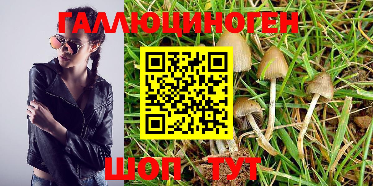 Галлюциногенные грибы Magic Shrooms Кропоткин